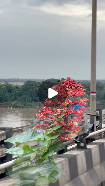Instagram Reel - 6.5K Views